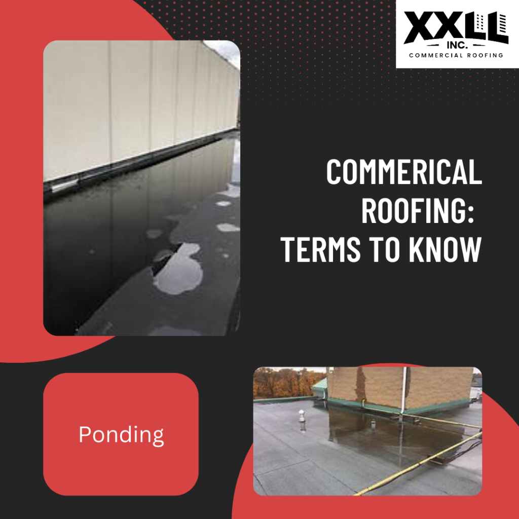 Commercial Roofing Terms to Know - Ponding XXLL Inc